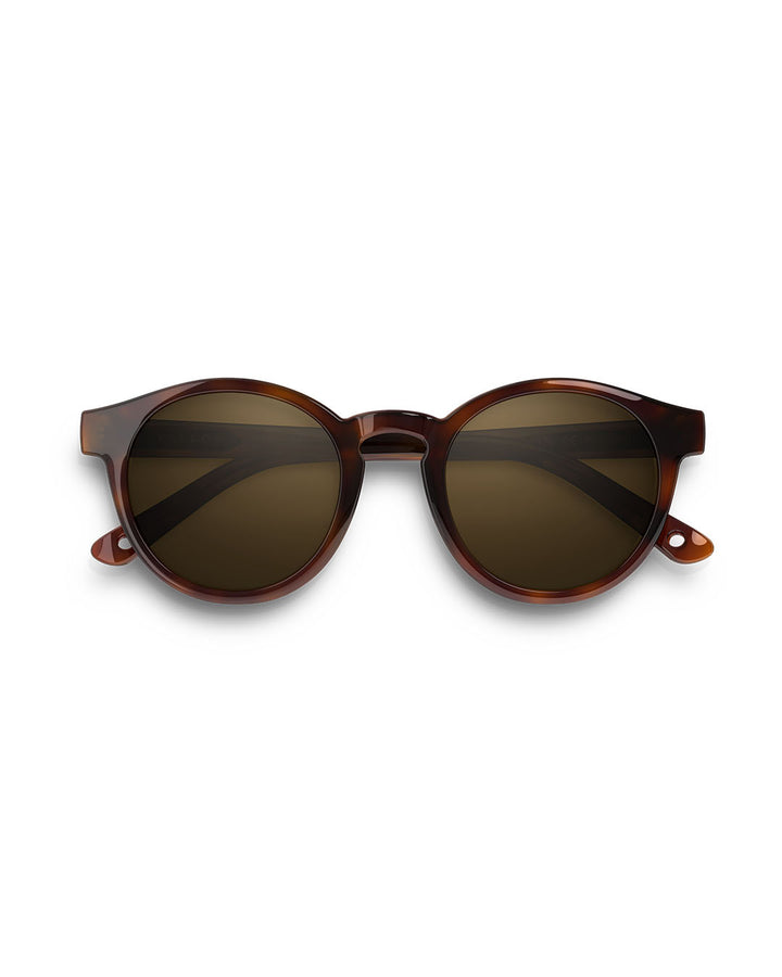 Vallon glasses Waylons Chestnut